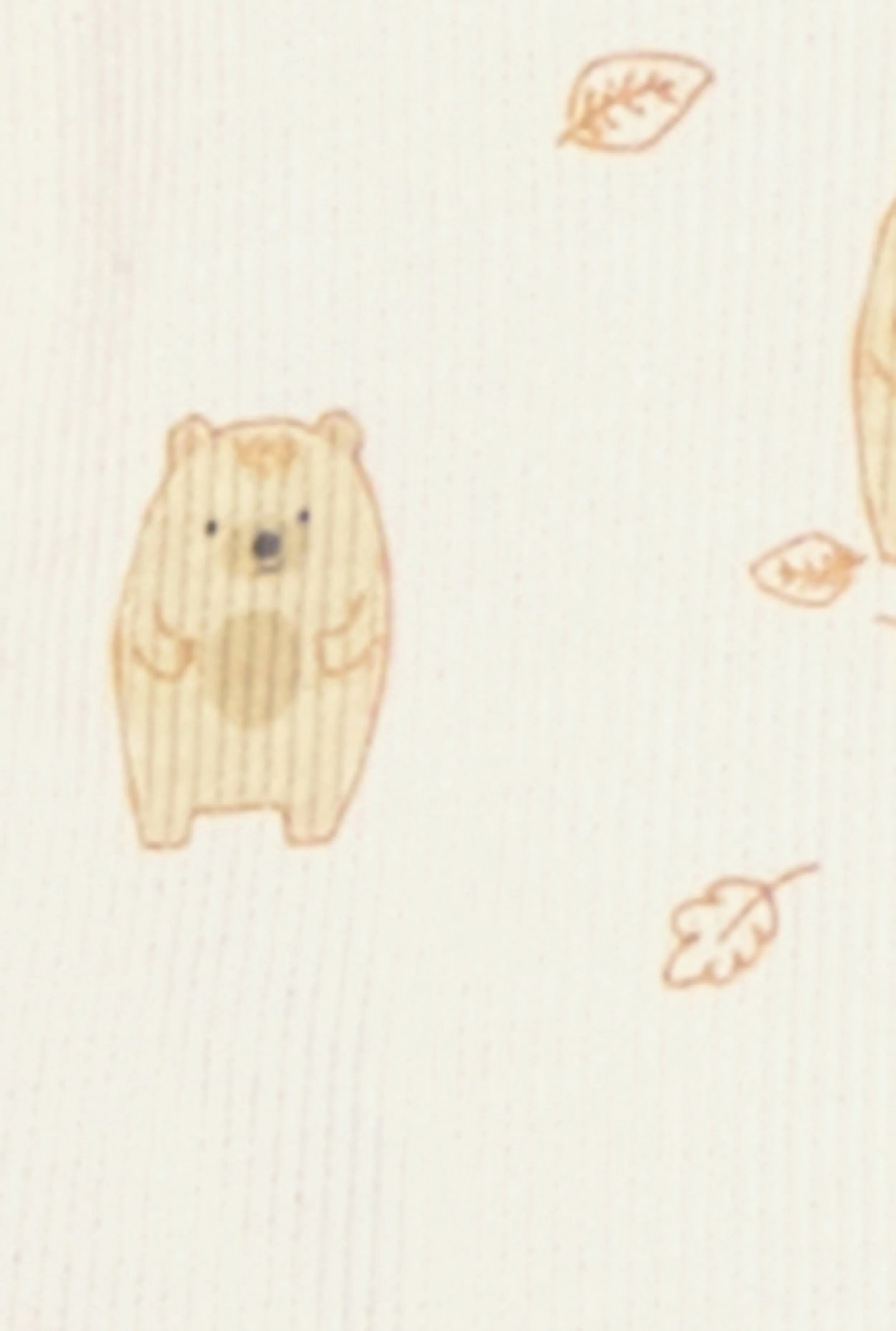 Baby Boys 0-9M Bear Print Bodysuit and Joggers