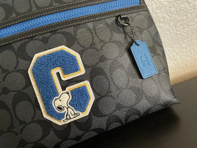 Coach Carryall X Peanuts Pouch In Signature Canvas with Snoopy Gunmetal